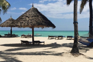 De bästa 10 dagarna med privat och lyxig safari i Tanzania – turer