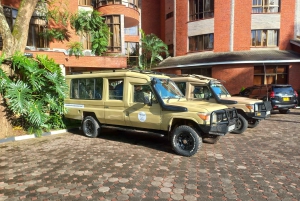 De bästa 10 dagarna med privat och lyxig safari i Tanzania – turer