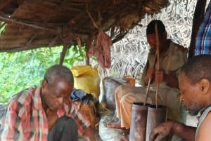 Nager avec les tortues à The Lagoons Zanzibar à Nungwi