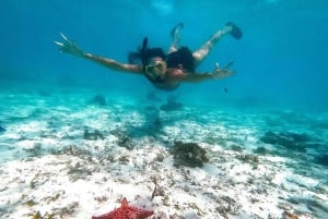 Das Felsenrestaurant und die Blaue Lagune