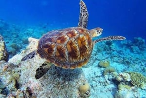 Zanzibar: The Rock Restaurant, Paje Beach, Salaam Cave Tour