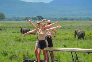 The smile safari tours.