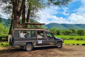 Transfer from Kilimanjaro(JRO)Airport to Arusha