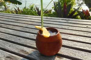 Tropical cocktail tour to the west coast of Zanzibar