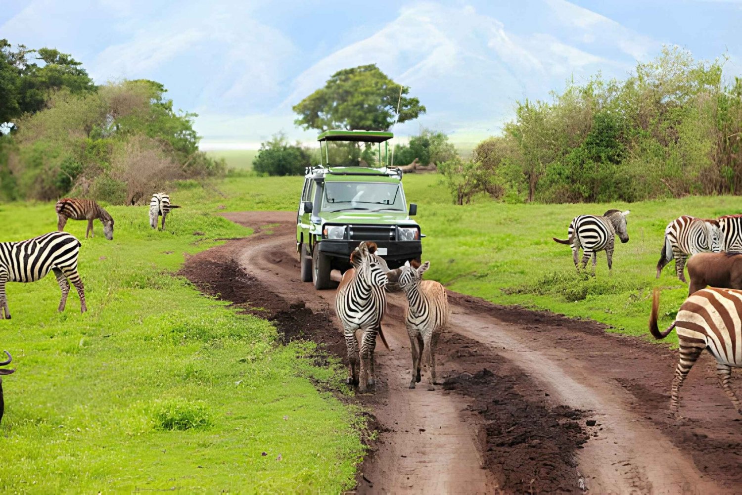 'Ultimate Tanzanian Adventure: 5-Day Safari Experience'