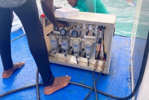 Undervannsgåing på Zanzibar, ingen svømming nødvendig