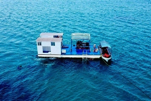 Undervandsvandring i Zanzibar, ingen svømning nødvendig