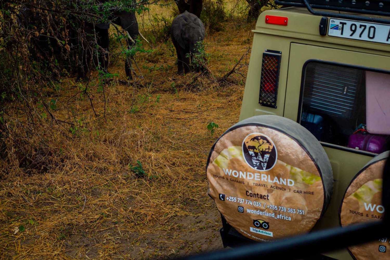 Unvergessliches Safarierlebnis