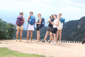 ウサムバラ:4日間のウサムバラ山脈トレッキングツアー