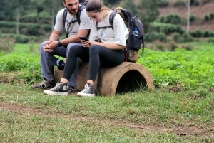 ウサムバラ:4日間のウサムバラ山脈トレッキングツアー