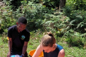 ウサムバラ:4日間のウサムバラ山脈トレッキングツアー