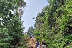 ウサムバラ:4日間のウサムバラ山脈トレッキングツアー