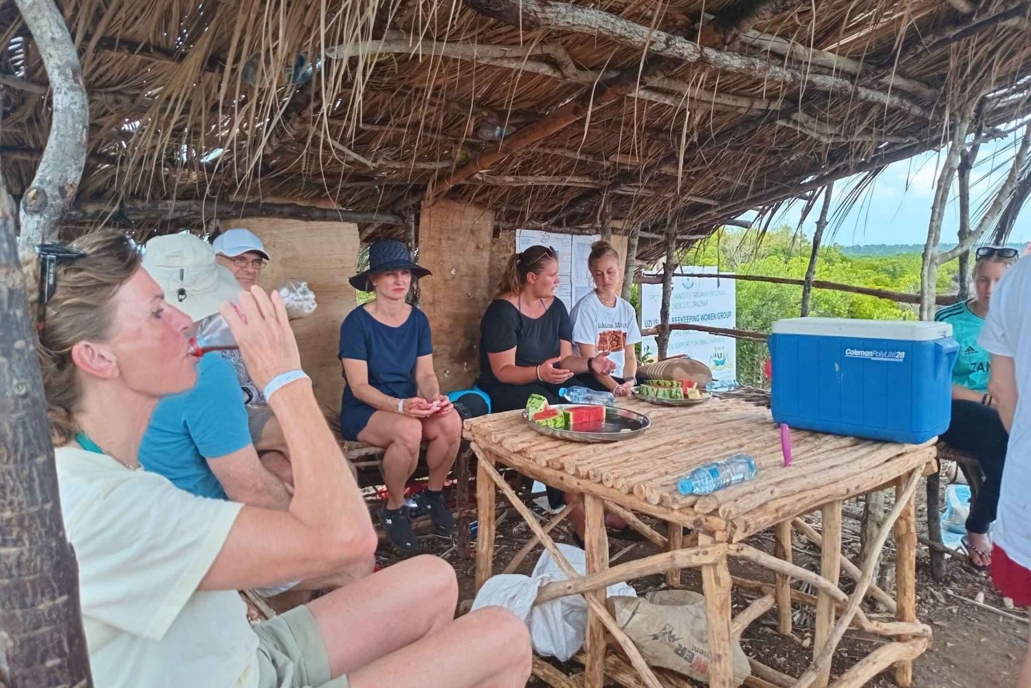 WYCIECZKA MNEMBA DOLPHIN TOUR, AKWARIUM LAGUNA I PLAŻA KENDWA