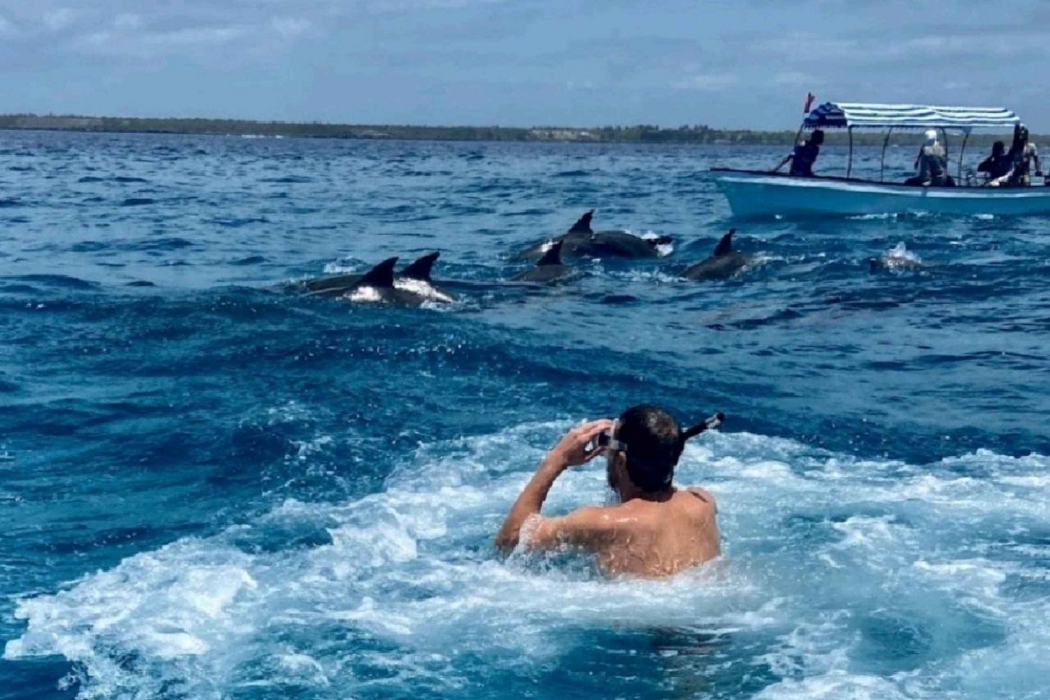 VIP Mnemba Island, delfiner, dykking og snorkling