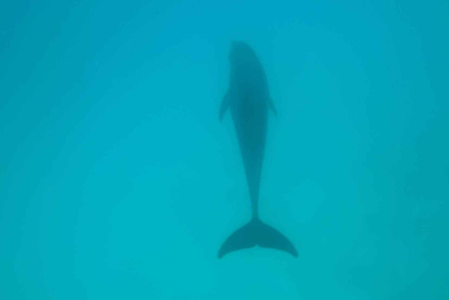 VISIT ZANZIBAR:4 DAYS HOLIDAY PACKAGES & FAMOUS EXCURSION