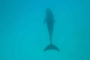 VISIT ZANZIBAR:4 DAYS HOLIDAY PACKAGES & FAMOUS EXCURSION