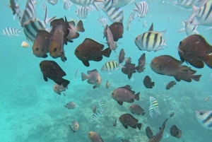 VISIT ZANZIBAR:4 DAYS HOLIDAY PACKAGES & FAMOUS EXCURSION