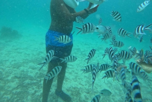 Podwodna wycieczka na Zanzibarze, nie trzeba umieć pływać