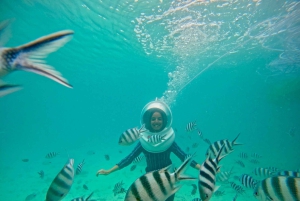 Podwodna wycieczka na Zanzibarze, nie trzeba umieć pływać