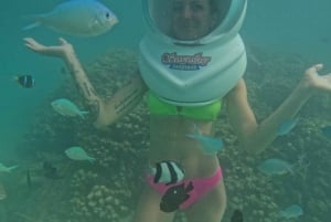 Podwodna wycieczka na Zanzibarze, nie trzeba umieć pływać