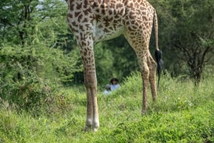 Spaziergang mit Giraffen: Ticket