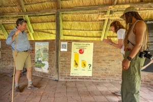 Spaziergang mit Giraffen: Ticket