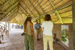 Spaziergang mit Giraffen: Ticket