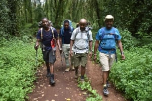 Walking Day Trip To Arusha National Park