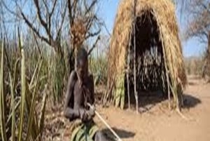 Witnessing the great Hadzabe Cultural 1-Day Trip Tour