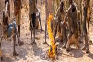 Witnessing the great Hadzabe Cultural 1-Day Trip Tour