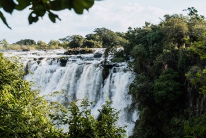 Zambia: Halvdagstur til Victoria Falls med hestesafari og frokost