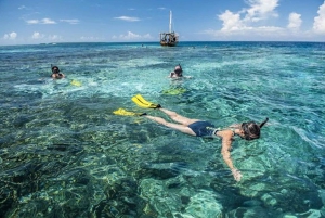 Zanzibar: 1 dag med blå safari, opplevelse av den blå horisonten