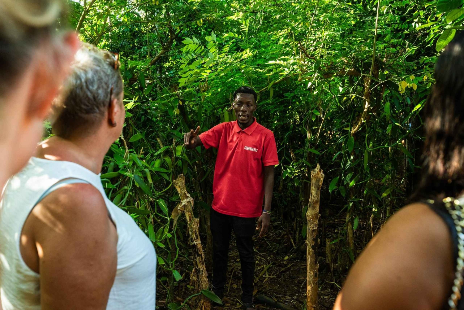 Zanzibar: 1 Day Pungume Sandbank Sailboat, Spice farm tour