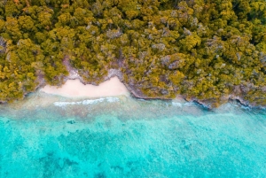 Zanzibar: 1 Day Pungume Sandbank Sailboat, Spice farm tour