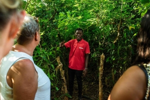 Zanzibar: 1 Day Pungume Sandbank Sailboat, Spice farm tour
