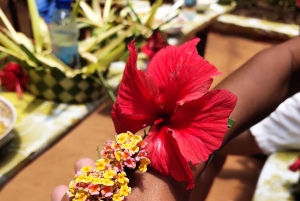 Zanzibar: 1 Day Pungume Sandbank Sailboat, Spice farm tour