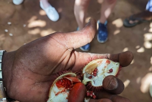 Zanzibar: 1 Day Pungume Sandbank Sailboat, Spice farm tour