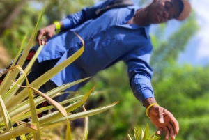 Zanzibar: 1 Day Pungume Sandbank Sailboat, Spice farm tour