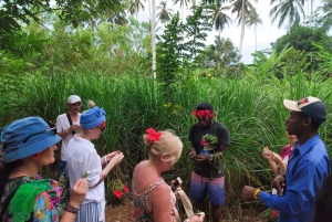 Zanzibar: 1 Day Pungume Sandbank Sailboat, Spice farm tour