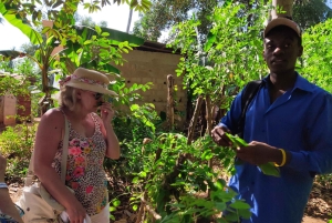 Zanzibar: 1 Day Pungume Sandbank Sailboat, Spice farm tour