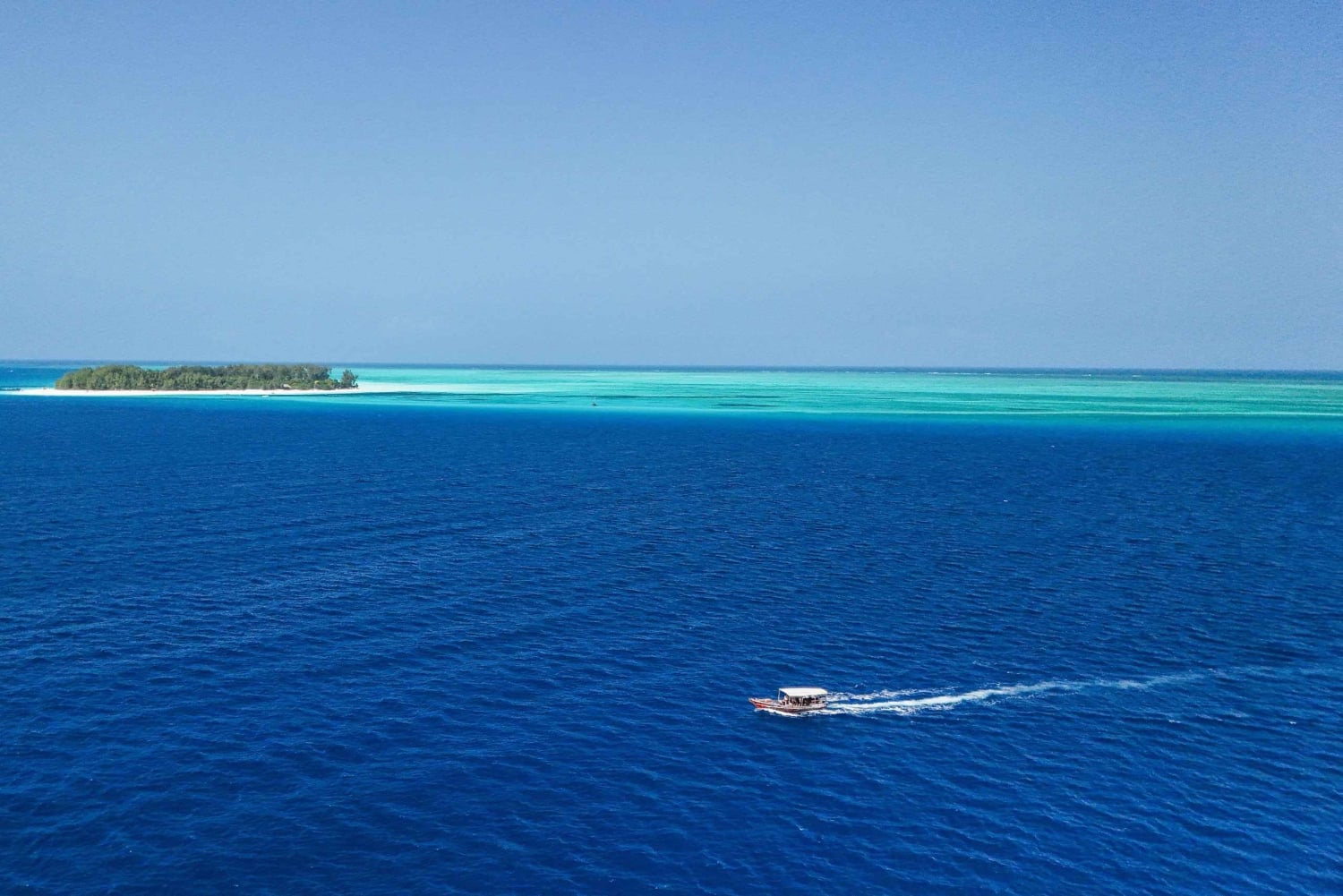 Zanzibar 1 Day Scuba Diving Course for Beginners with Lunch