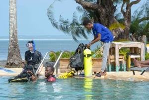 Sansibar: 1 päivän sukelluskurssi aloittelijoille lounaalla