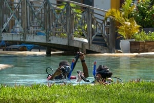 Zanzibar: Curso de mergulho autônomo de 1 dia para iniciantes com almoço