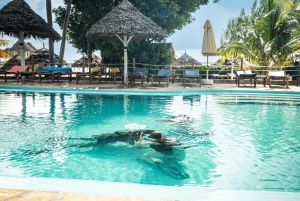 ザンジバル1日スキューバダイビングコース（ランチ付き