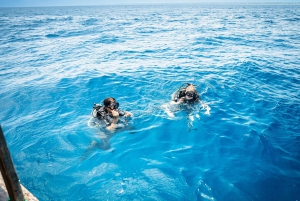 ザンジバル1日スキューバダイビングコース（ランチ付き