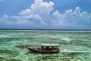 ザンジバル1日スキューバダイビングコース（ランチ付き