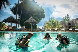 Zanzibar 1 Day Scuba Diving Course for Beginners with Lunch