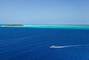 Zanzibar 1 Day Scuba Diving Course for Beginners with Lunch