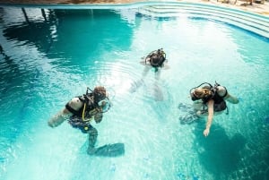 Zanzibar 1 Day Scuba Diving Course for Beginners with Lunch