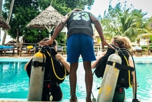 Zanzibar 1 Day Scuba Diving Course for Beginners with Lunch